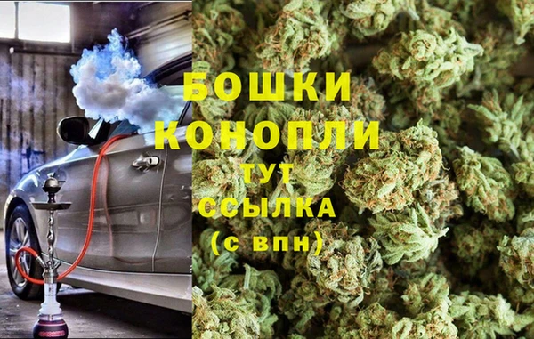 шишки Вяземский
