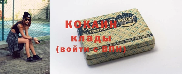 шишки Вяземский