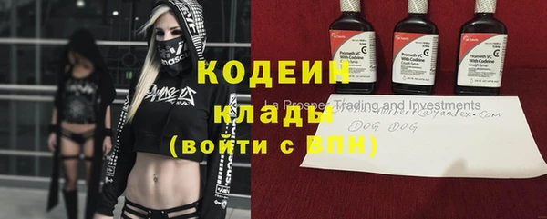 2c-b Мегион
