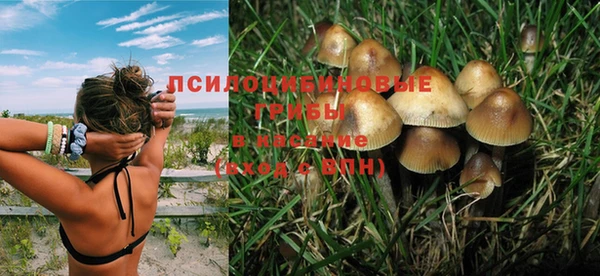 шишки Вяземский