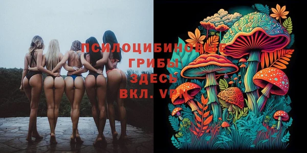 2c-b Мегион