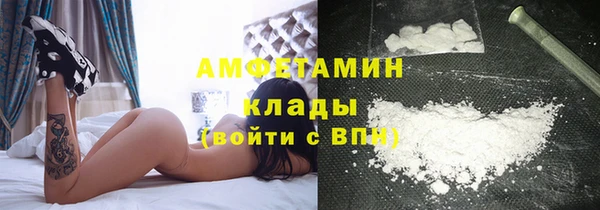 шишки Вяземский