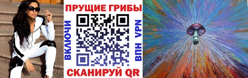 Галлюциногенные грибы мицелий  наркота  гидра зеркало  Псков 